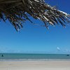 Things To Do in Acau Beach, Restaurants in Acau Beach