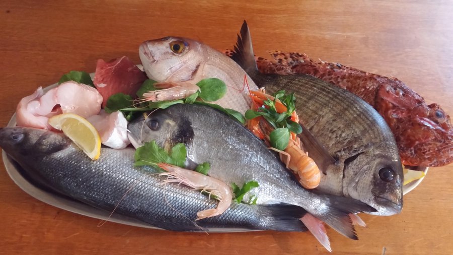 Fresh catch of the day