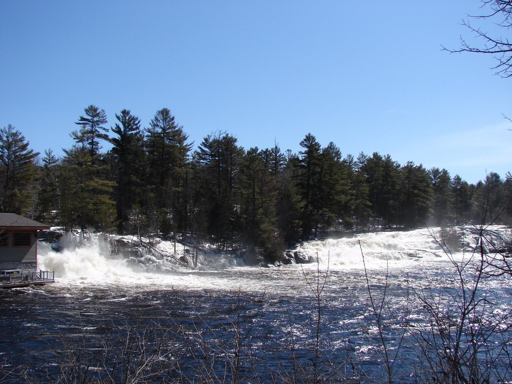 THE 15 BEST Things to Do in Bracebridge (2025)