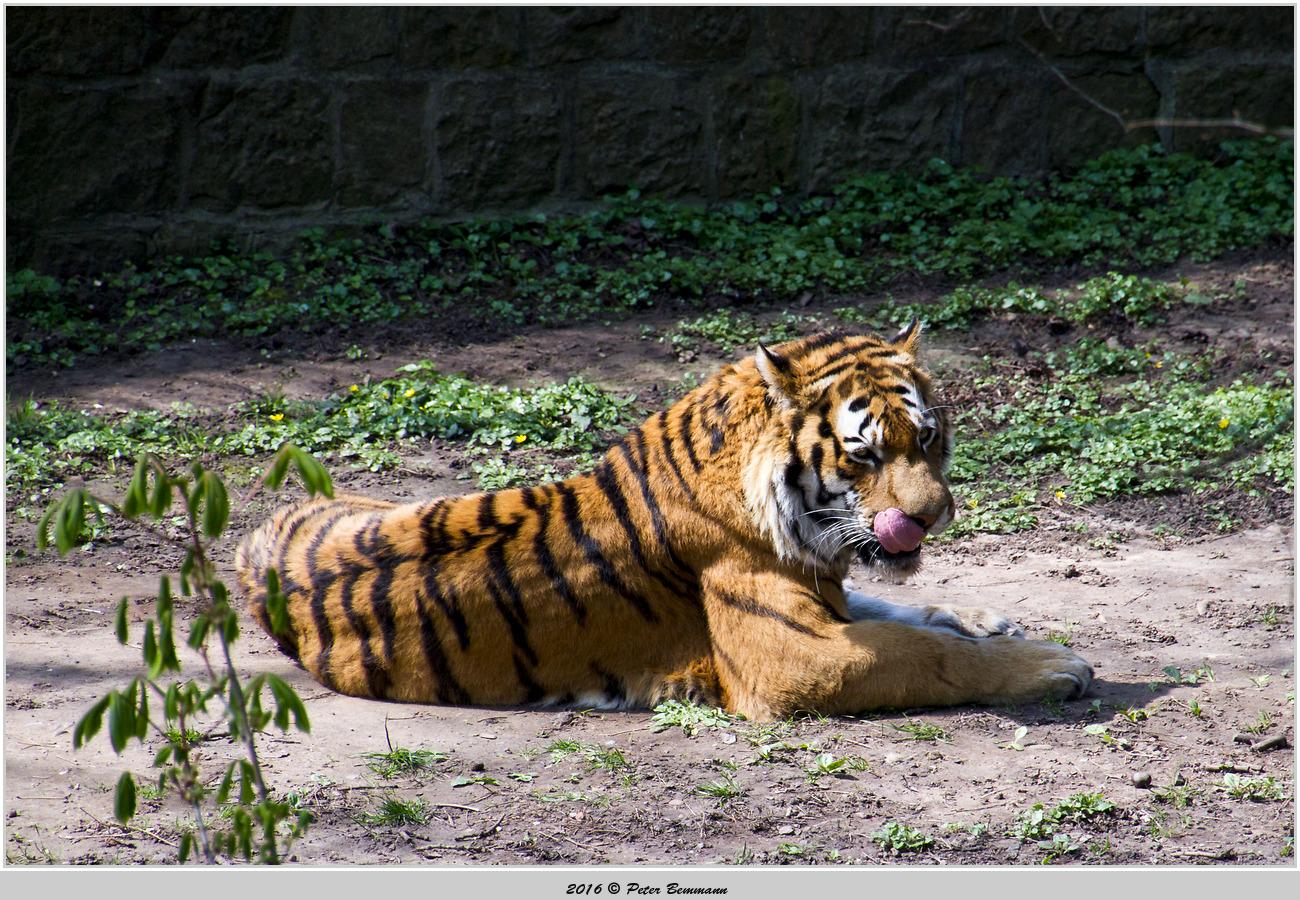 Zoo Landau (Landau In Der Pfalz) - 2023 Lohnt Es Sich? (Mit Fotos)