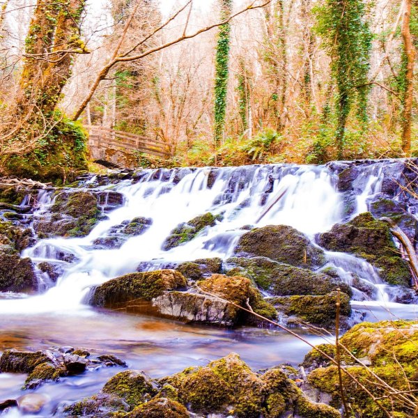 The 10 Best Things To Do In County Cavan Tripadvisor