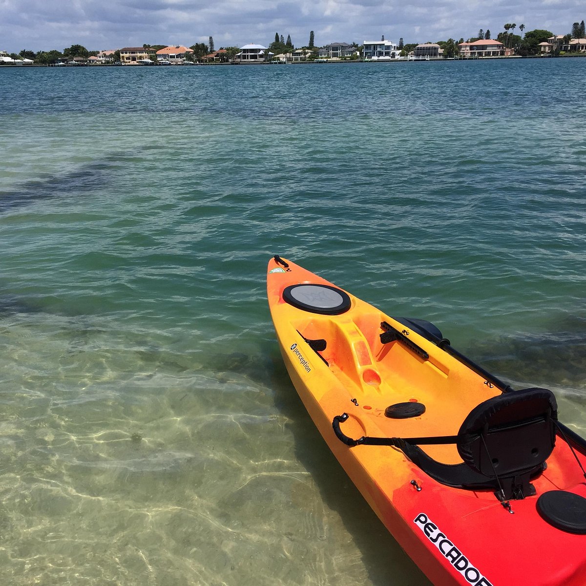 paradise boat tours sarasota