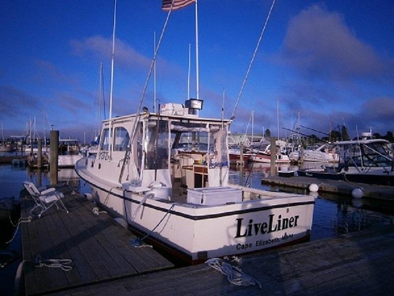 Shark Rod - Picture of LiveLiner Charters, South Portland - Tripadvisor