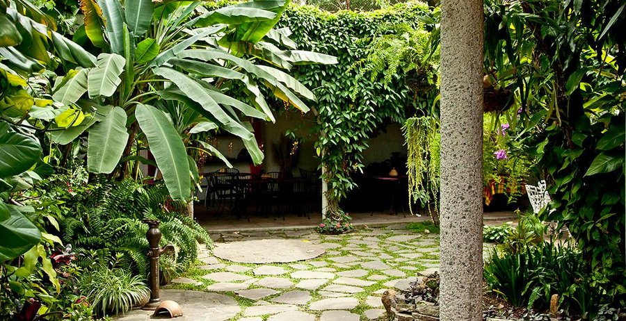 Tropical gardens