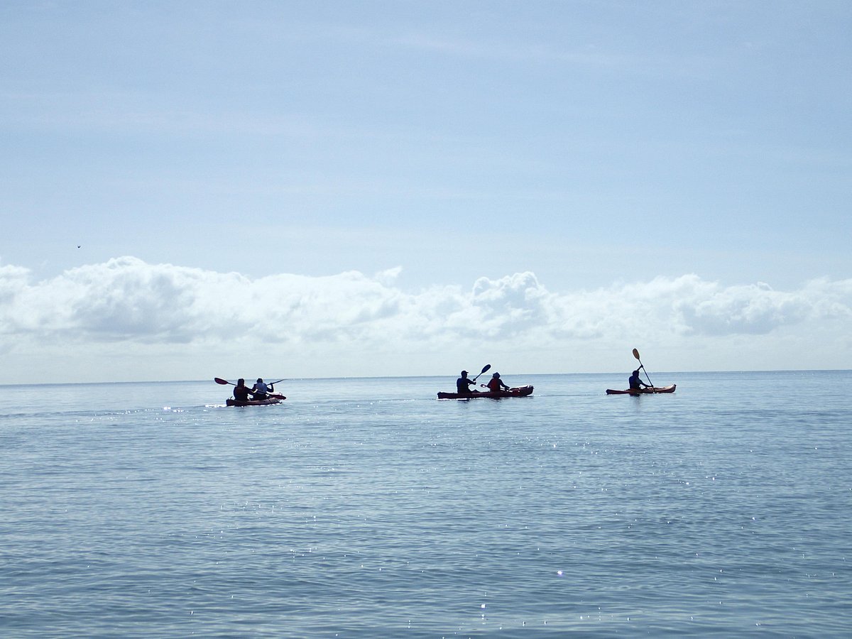 Paddletrek Kayak Adventures (Cape Tribulation) - All You Need to Know ...