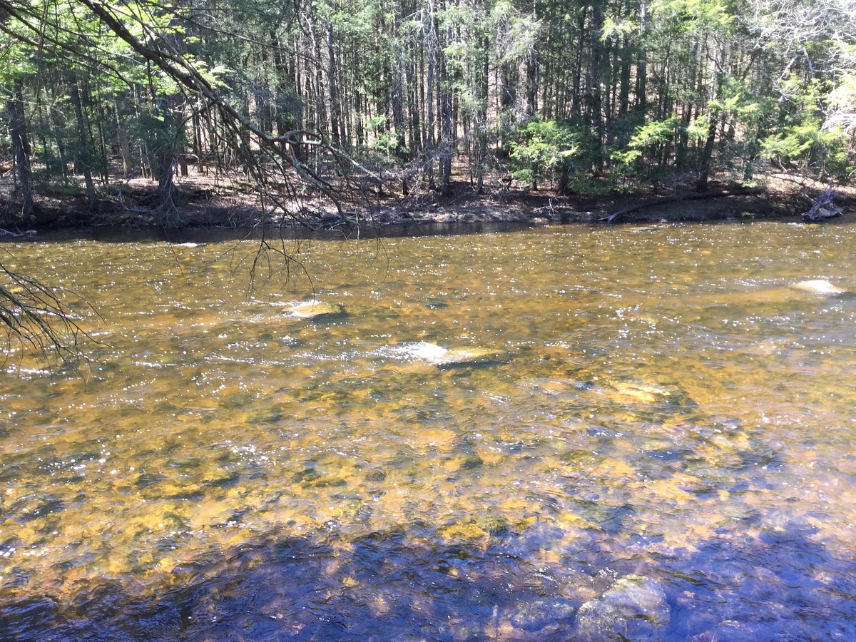 Salmon River State Forest - All You Need to Know BEFORE You Go (2024)