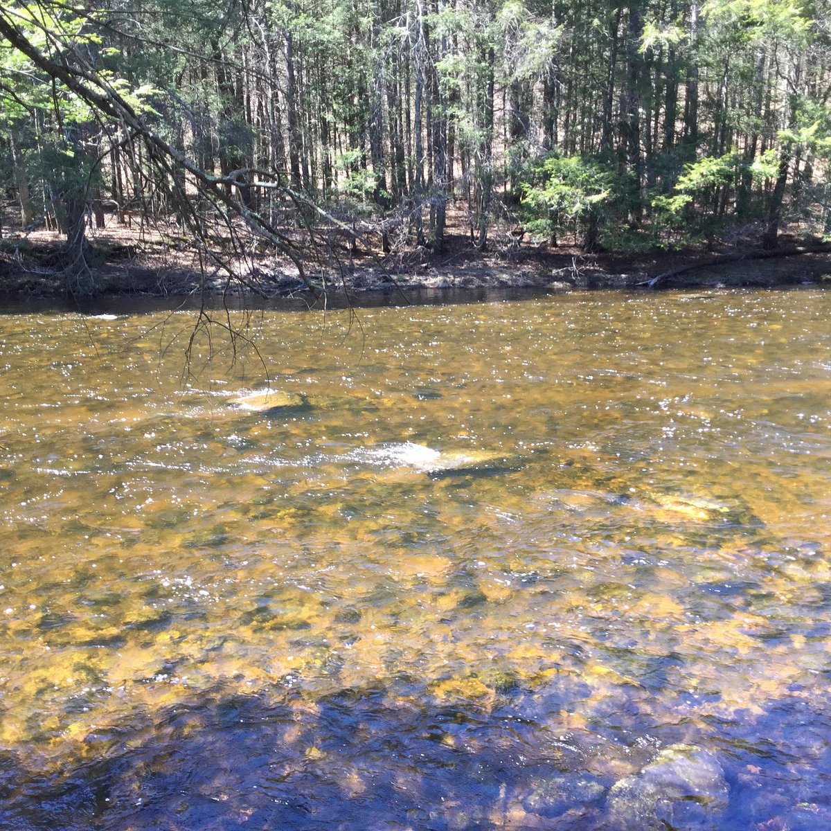  Connecticut River - Salmon River 05/22