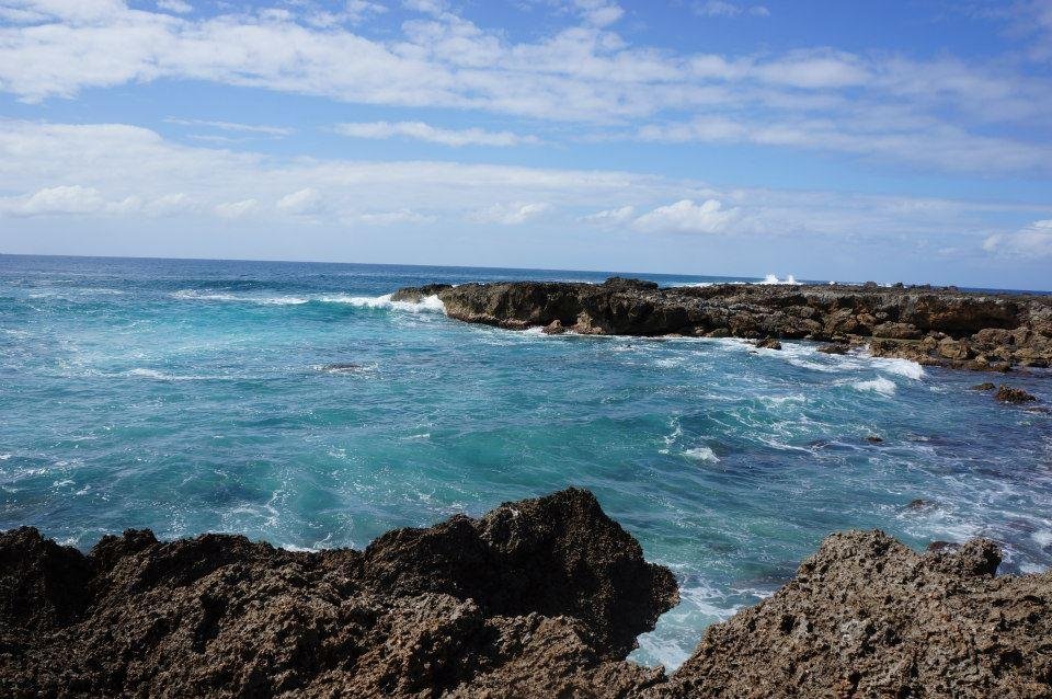 sharks cove hawaiian name