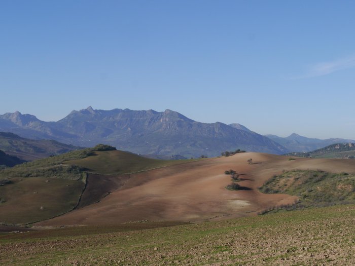 Imagen 12 de El Molino Del Abuelo