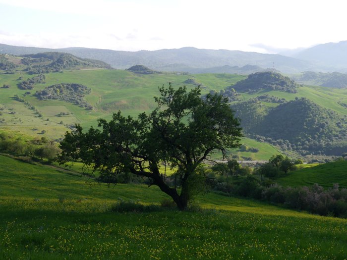 Imagen 10 de El Molino Del Abuelo