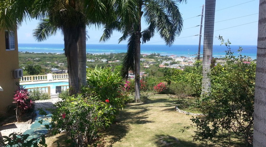 garden