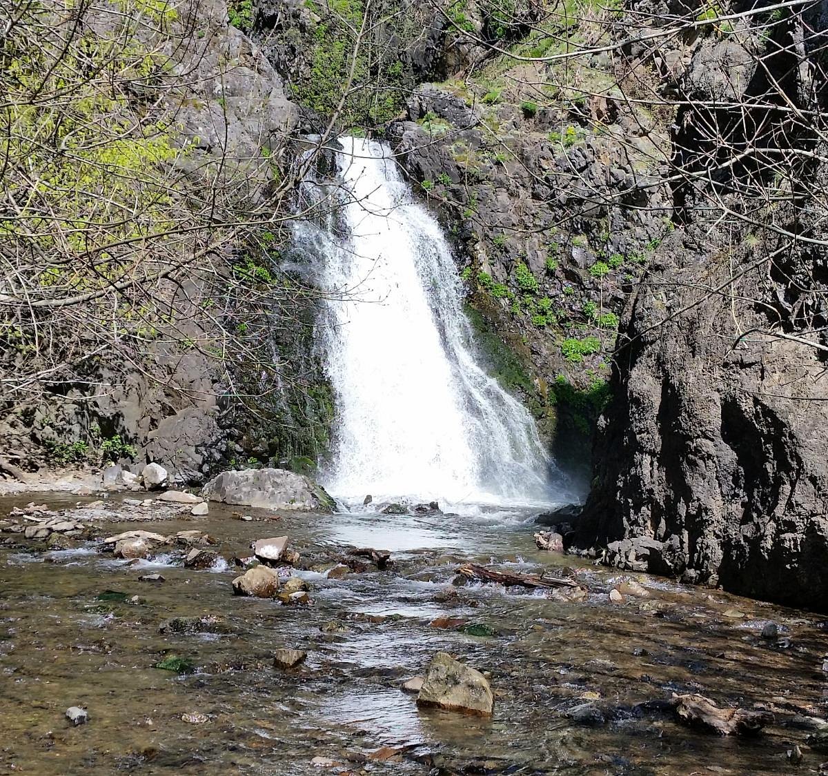 Dog Creek Falls (Carson) - All You Need to Know BEFORE You Go