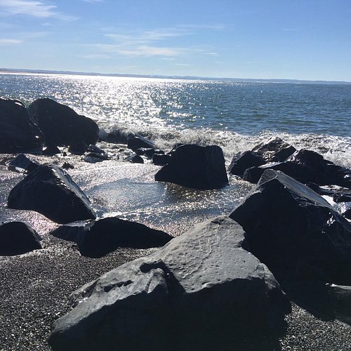 THE 15 BEST Things to Do in Ocean Shores - 2024 (with Photos) - Tripadvisor