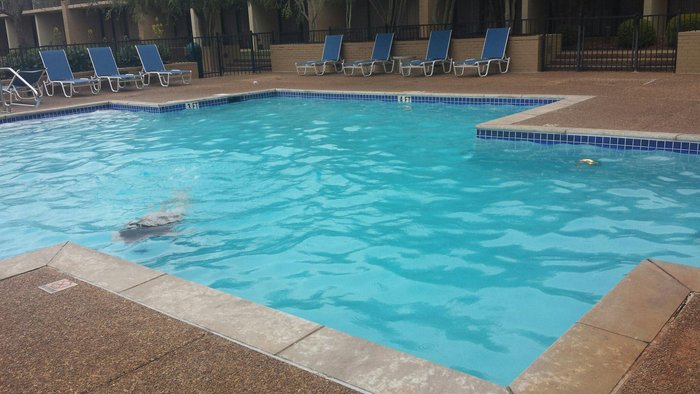 Huntsville Marriott At The Space & Rocket Center Pool: Pictures ...