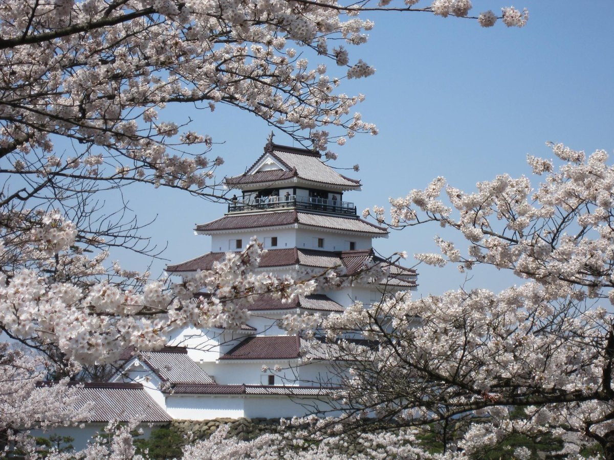 Tsuruga Jo Castle Aizuwakamatsu All You Need To Know Before You Go