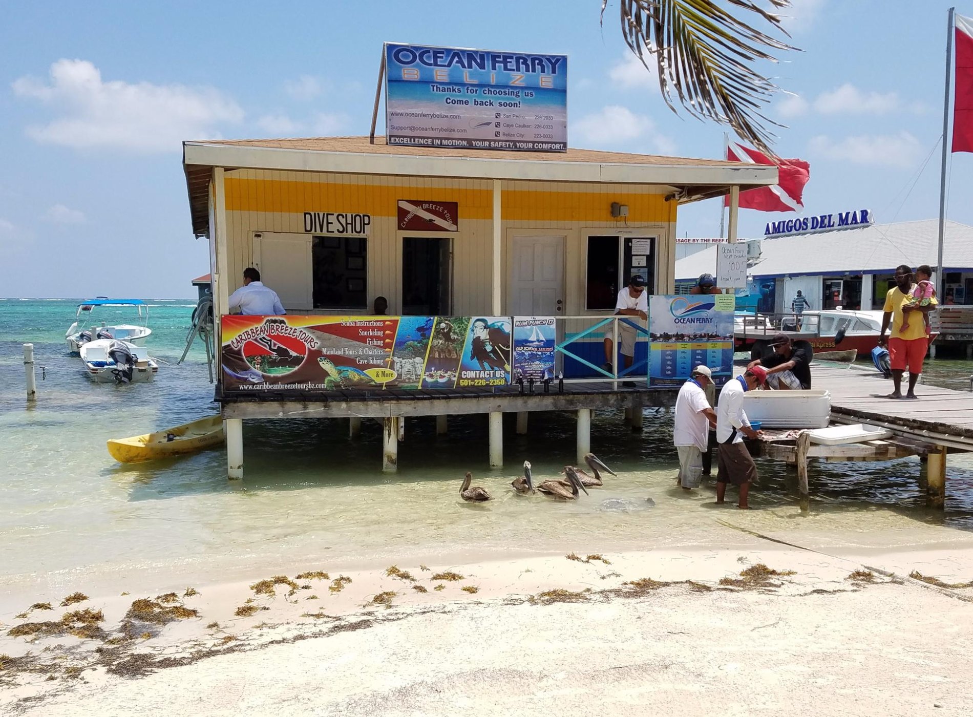 Conch Shell Inn by null