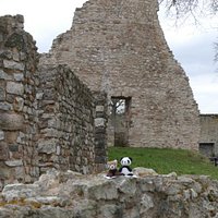Burgruine