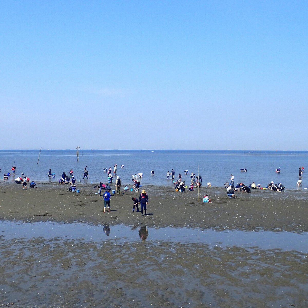 22年 富津海岸 行く前に 見どころをチェック トリップアドバイザー