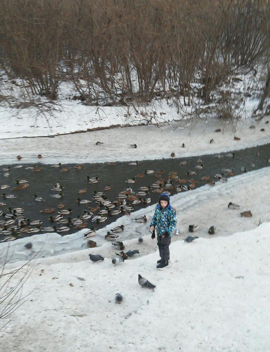 Парк антошка кемерово фото