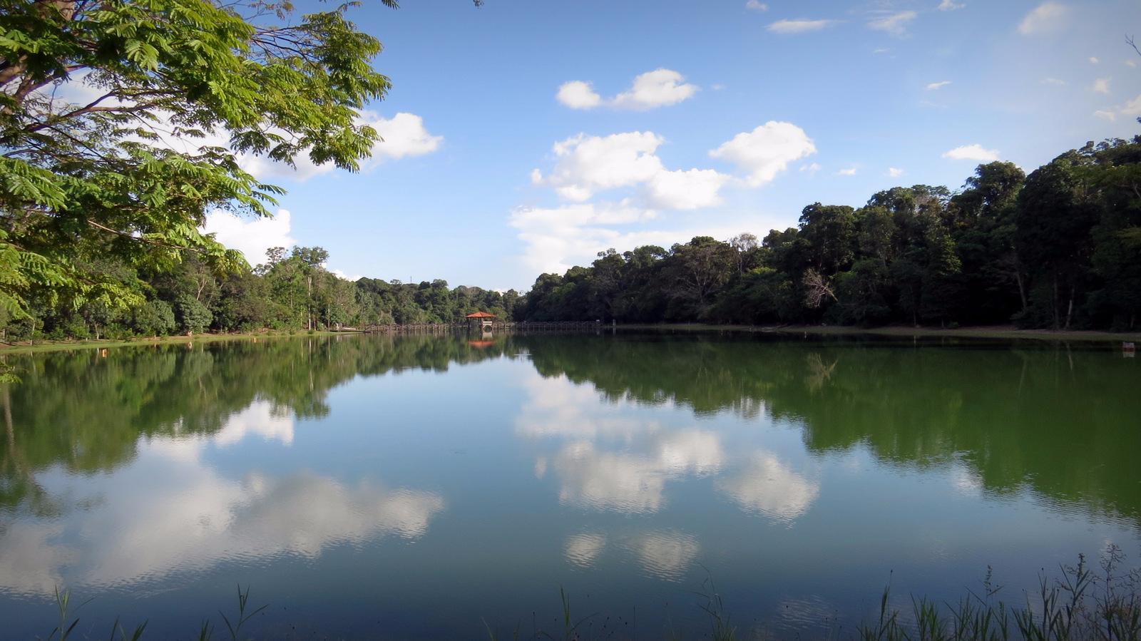 Parque Florestal De Sinop - ATUALIZADO 2023 O Que Saber Antes De Ir ...