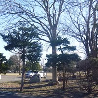 園内の様子