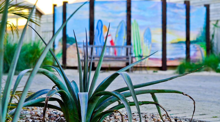 Whitesbeach Guesthouse garden
