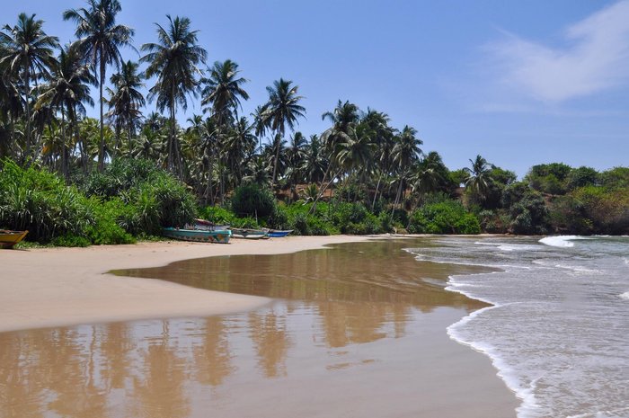 VILLA JAYANANDA - Updated 2024 Prices & Hotel Reviews (Sri Lanka/Dikwella)