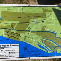 Kitty Hawk Woods Reserve - All You Need to Know BEFORE You Go (2024)