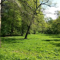 Parcul Sub Arini