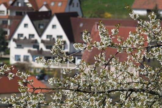 Kleedorf