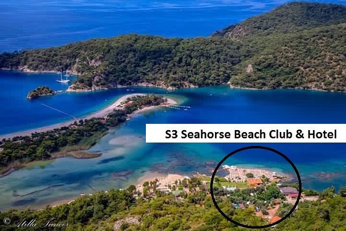 Sea Horse Beach Club - UPDATED Prices, Reviews