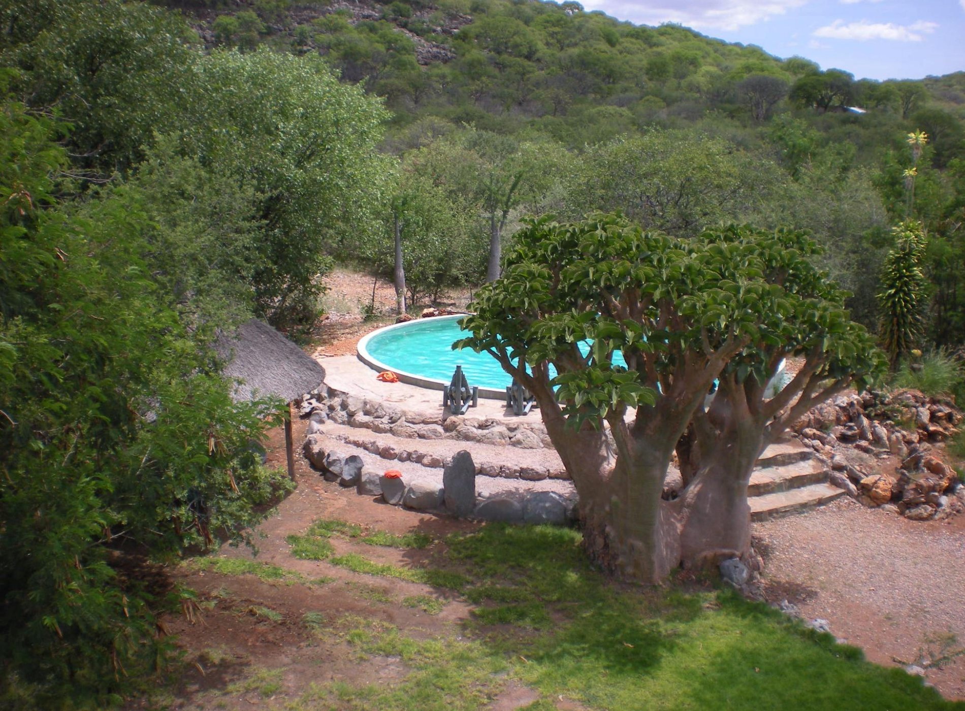 Otjitotongwe Cheetah Guestfarm by null