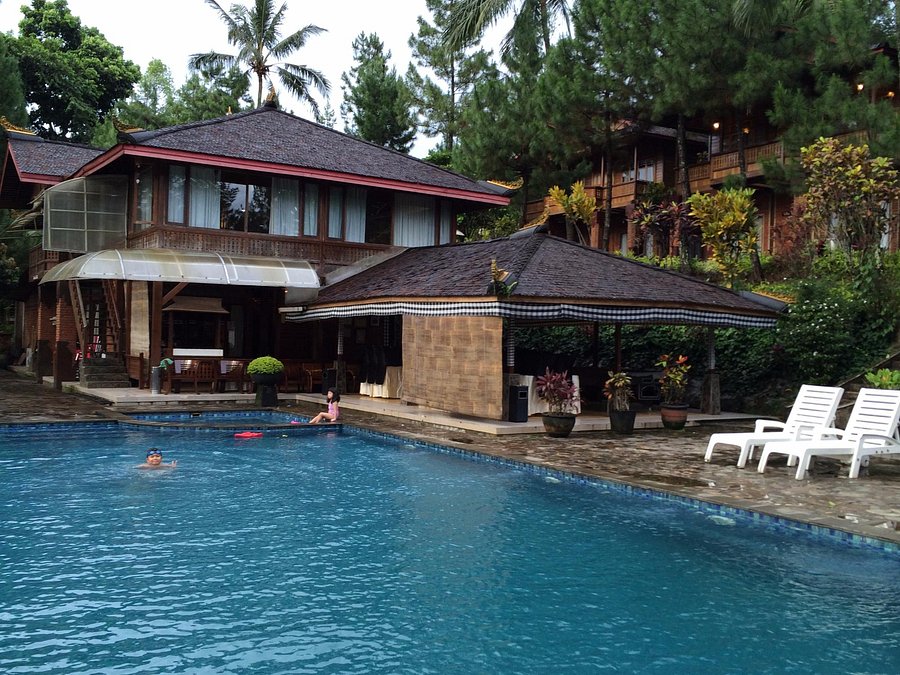 Rumah Jambu Luwuk Bogor Indonesia Ulasan Penginapan Tripadvisor