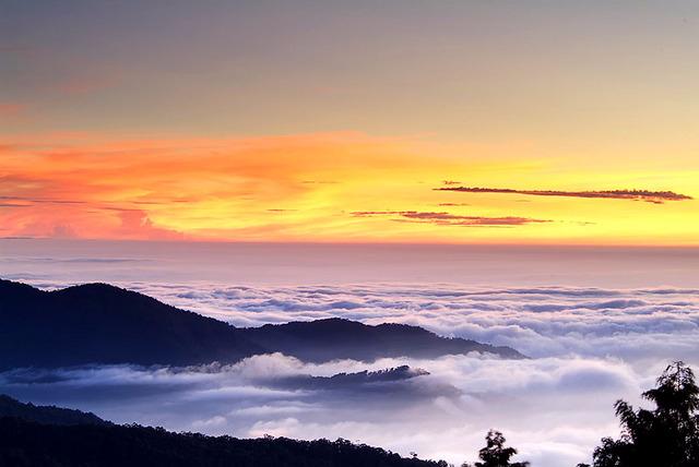 Ali Mountain (Alishan) - Xinyi Township - Ali Mountain (Alishan