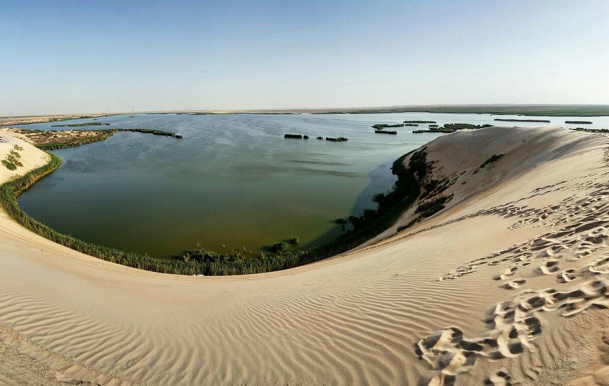 Крупнейший оазис. Аль Ахса. Озеро Аль. The Yellow Lake Саудовская Аравия. Оазис Аль-Ахса/ Даммам.