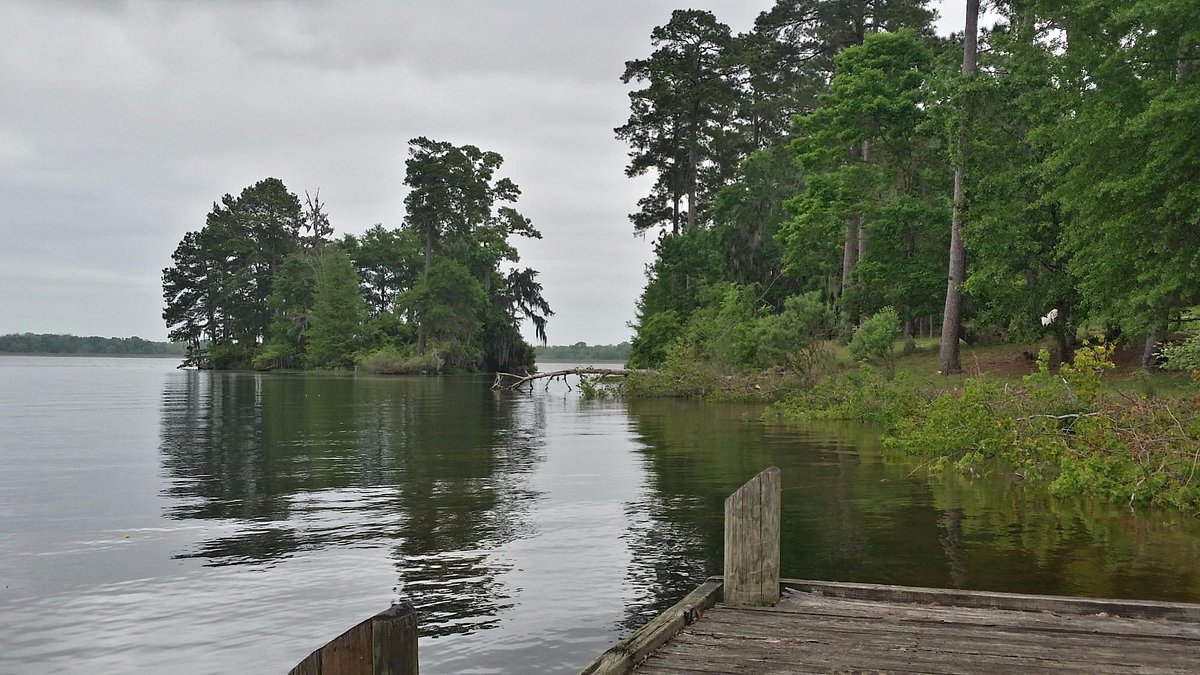 KINCAID LAKE CAMPGROUND Reviews (Boyce, LA) Photos of Campground