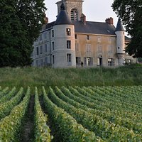 Manoir & vignoble