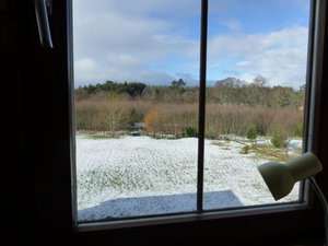 Room & Suite
