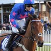 Wetherby_Races