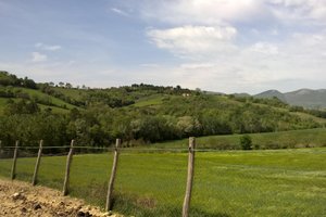 Camera e suite
