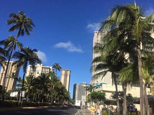 beautiful places to visit in honolulu hawaii