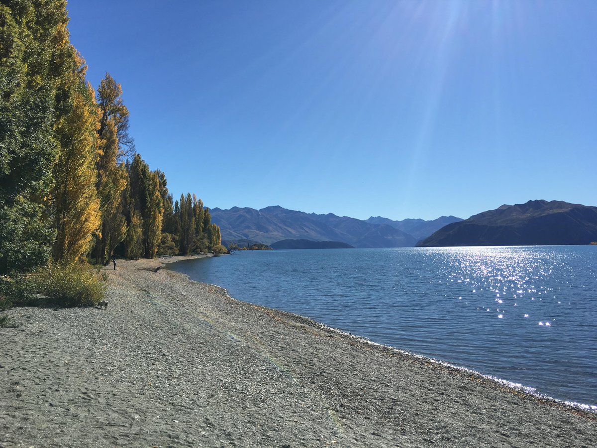 Queenstown Tours - All You Need to Know BEFORE You Go (2024)