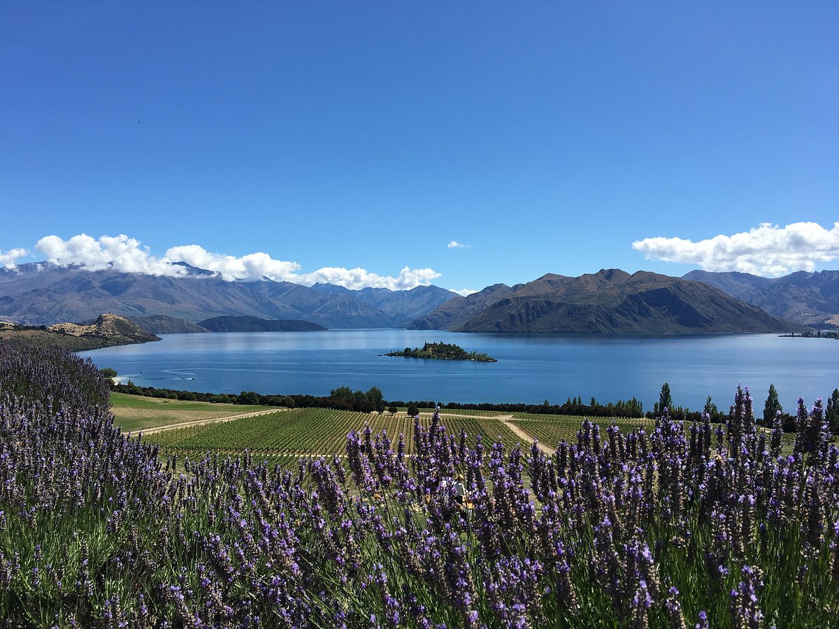 tours queenstown