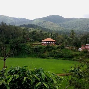 View of the Homestay