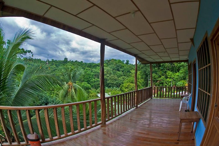 تعليقات حول فندق Hakuna Matata Drake Bay Hostel Drake Bay كوستاريكا فندق صغير للشباب Tripadvisor