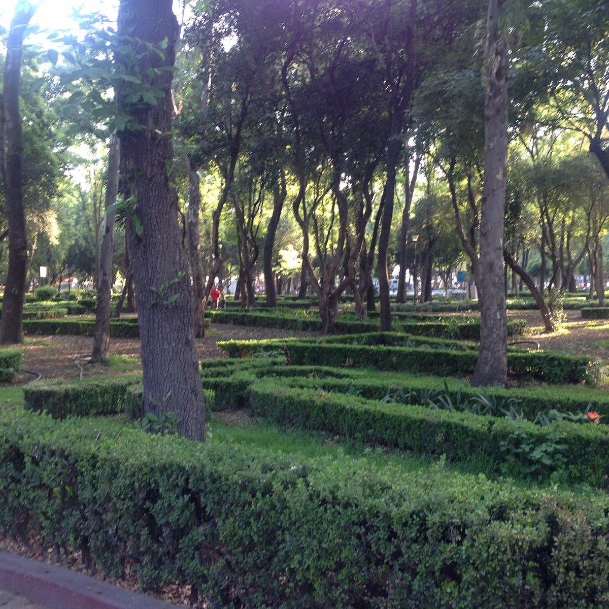 Parques en CDMX con áreas de juego para niños y mucha sombra