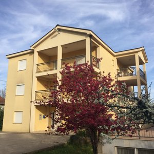 getlstd_property_photo