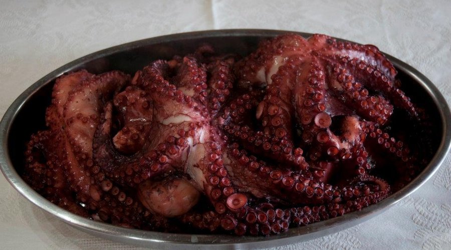 COMIDA MEDITERRANEA