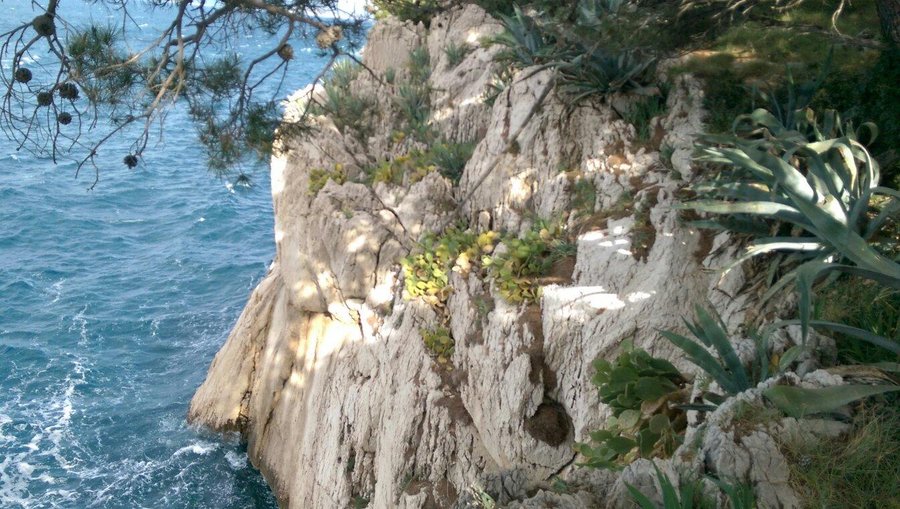 The Peninsula of St. Peter
