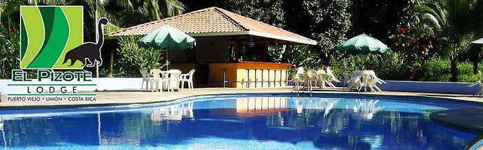 intersección Permanecer de pié impuesto HOTEL EL PIZOTE LODGE (Puerto Viejo, Costa Rica - Limón): opiniones y  precios